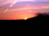 Wittenham Clumps (ii)